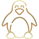 linux server